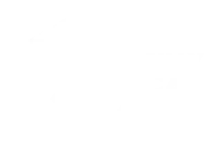 sillycatcreations.fr